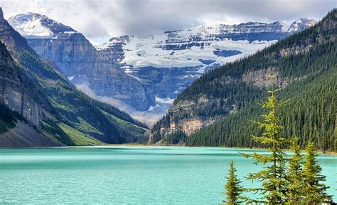 17 Top Rated Things To Do At Lake Louise Ab Planetware