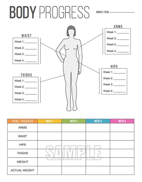 Printable Body Measurement Tracking Chart Template Business Psd