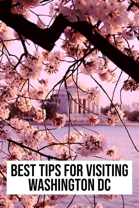 Hands Down The Best Tips For Visiting Washington Dc Washington Dc