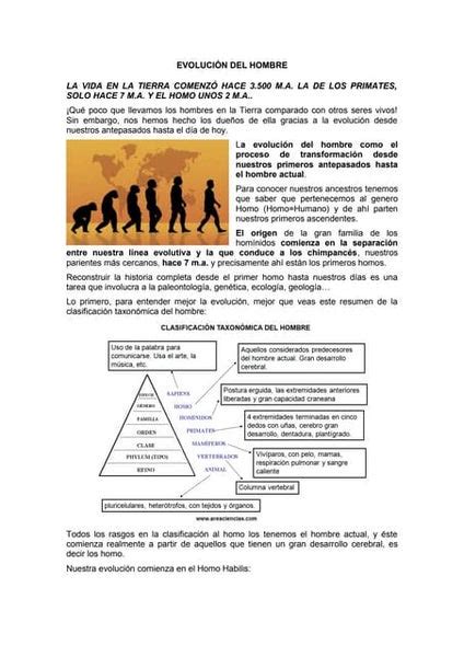 Ensayo EvoluciÓn Del Ser Humano