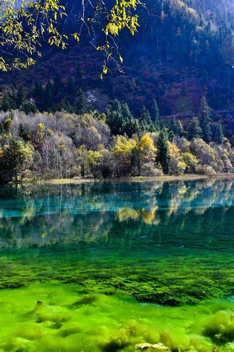 Colorful Lake In Jiuzhaigou Stock Image Image Of Attraction Invert