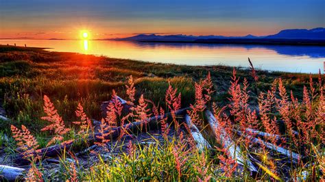 Peaceful Sunset Wallpaper And Background Image 1366x768 Id495867