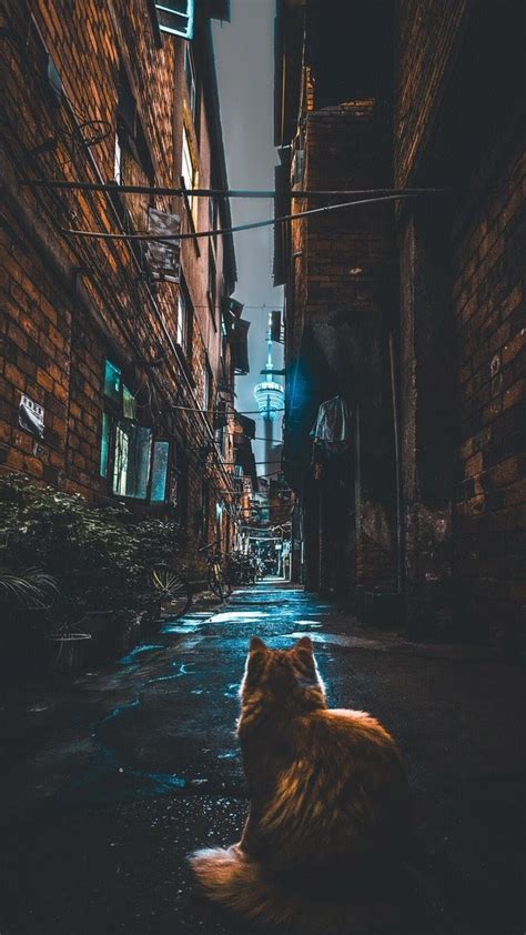 A unique community with something for everyone! اختر خلفية مناسبة لك !: God Wallpapers