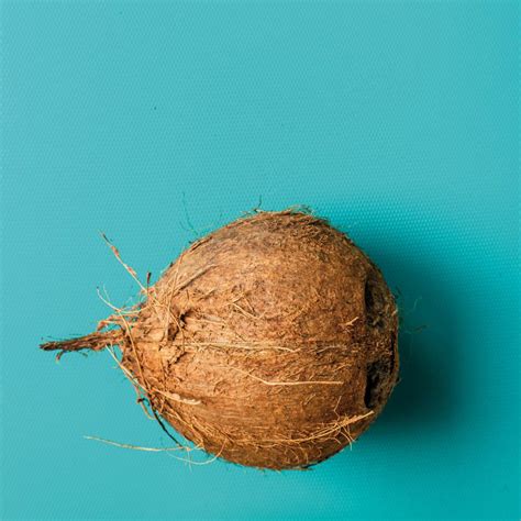 Is A Coconut A Nut A Fruit Or A Vegetable Cubic Magazine