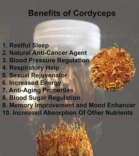 Cordyceps Militari Health Post Mood Enhancers Cordyceps Improve