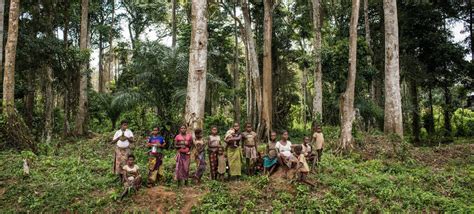 Proteger Los Bosques Es Proteger El Sustento De Millones De Personas Y