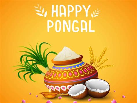 Rangoli can be designed using flowers, rice flour or colours. Happy Pongal 2020: Images, Wishes, Messages, Quotes, Cards, Greetings, Pictures, GIFs and ...