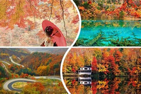 Maple Leaves Paint Fall In Beauty Around World Chinadaily Cn