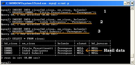 Cara Memasukan Database ke PHPMySQL
