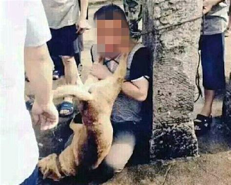Chinese Villagers Beat Dog Thieves For Nine Hours Daily Mail Online