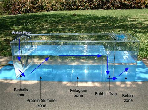 Learn what a sump is, the benefits a sump can provide to your saltwater aquarium and whether you really need one. Diy Saltwater Aquarium Sump Design