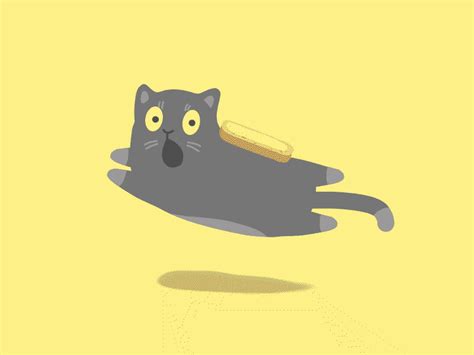 Cat Sandwich  Cat Sandwich Seokjinnie Discover Sha