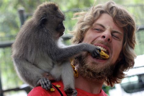 The Sacred Monkey Forest Sanctuary In Ubud Bali Indonesia