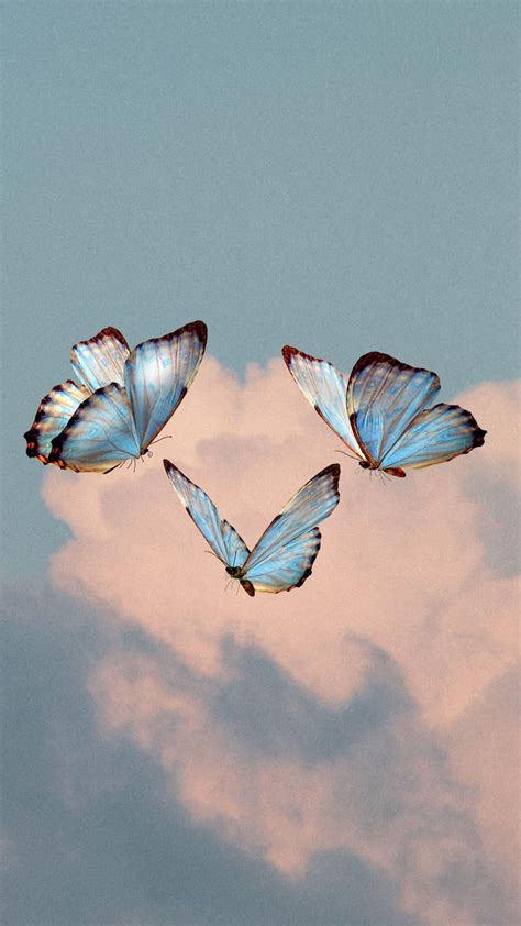 wallpaper cute butterfly aesthetic iphone iphonewallpapers
