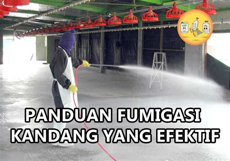 Panduan Fumigasi Kandang Yang Efektif PT Panca Prima Wijaya