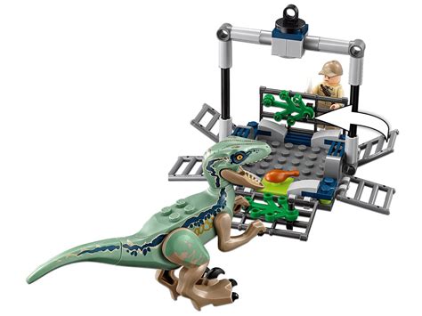 Lego Jurassic World Dominion Owen Grady Minifigure With Blue The