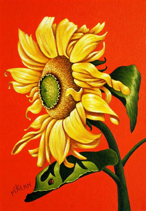 Sunflower With Red Background Graham Mckean