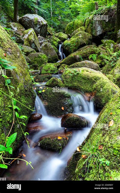 Black Forest Gertelbach Waterfalls Baden Wuerttemberg Germany Stock