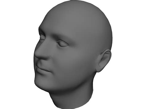 How to draw with wooden mannequin models youtube. Human Head 3D Model - 3D CAD Browser