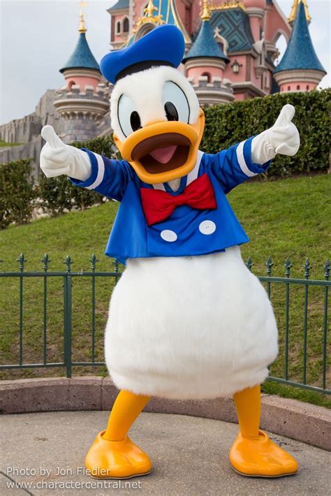 donald duck at disney character central cute disney pictures disney friends disney