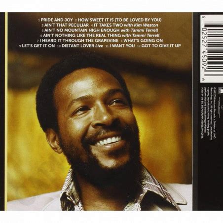 Marvin Gaye Icon CD Available CapitanStock