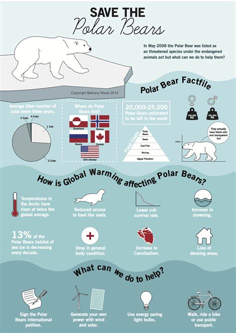 Polar Bear Poster Project Latesttrailersongs