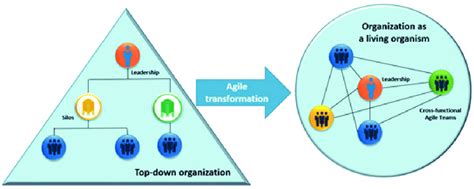 Traditional Organization Vs Agile Organization Download Scientific Diagram