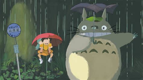 Totoro Hayao Miyazaki Rain Totoro Hayao Miyazaki Anime Totoro