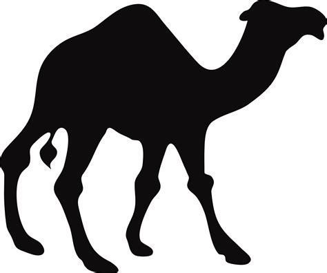 Camel Silhouette Vector Graphic image - Free stock photo - Public Domain photo - CC0 Images