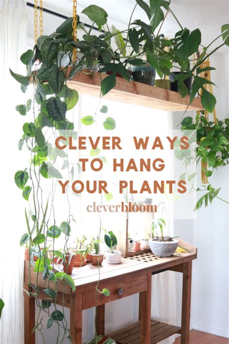 12 Creative Indoor Plant Rack Ideas For Greening Up Your Home