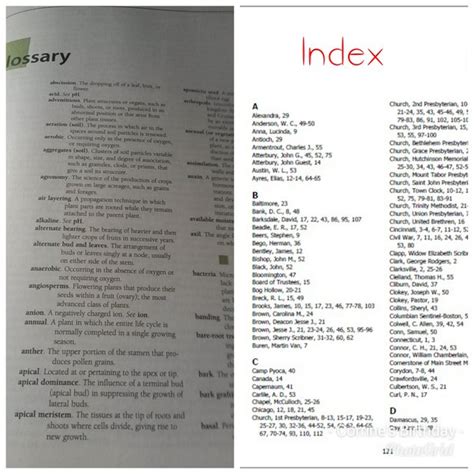 What Is Index And Glossary In A Book Alvina Osborn