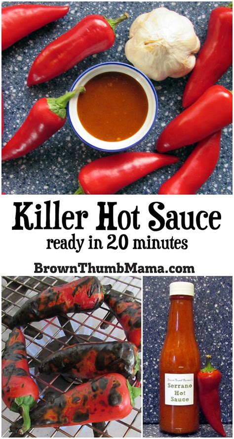 Killer Hot Sauce In 20 Minutes Brown Thumb Mama