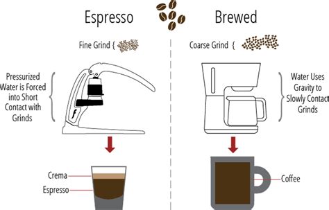 Espresso 101: What Is Espresso and The Definition of Crema?