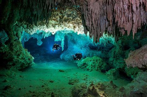 Descubriendo Cuales Son Los Mejores Cenotes En La Riviera Maya Best