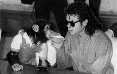 Michael Jackson Accused Of Assaulting Bubbles The Chimp