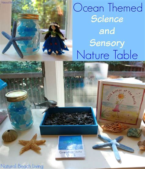 Initiate your preschooler on simple science concepts with science activities for preschoolers. 35+ Best Ocean Activities and Ocean Crafts for Preschool ...