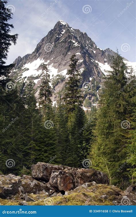 Rugged Jagged Peak North Cascade Mountain Range Vertical Composition