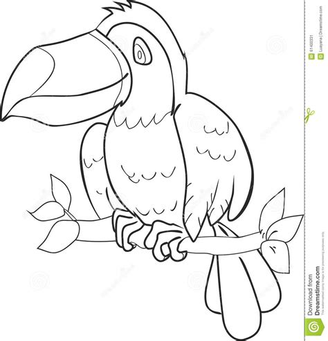 Below are some free printable toucan coloring pages for kids. Cute Toucan Coloring Coloring Pages