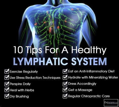 Ways To Improve Your Lymphatic System Drjockers Com Healthy Lymphatic System Lymphatic