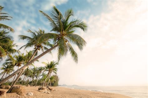 Download Tropical Horizon Nature Beach 4k Ultra Hd Wallpaper