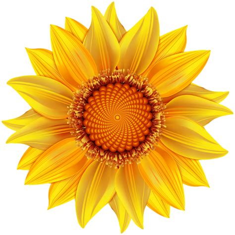 Yellow Flower Transparent Png Clip Art Image Art Images Clip Art