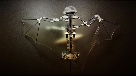 Bat Bot La Chauves Souris Robot Au Vol Plus Vrai Que Nature