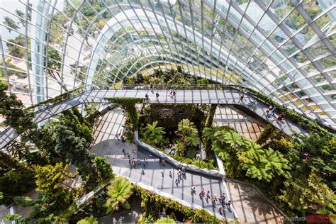 Elevated View Inside Cloud Forest Gardens By The Bay Singapore