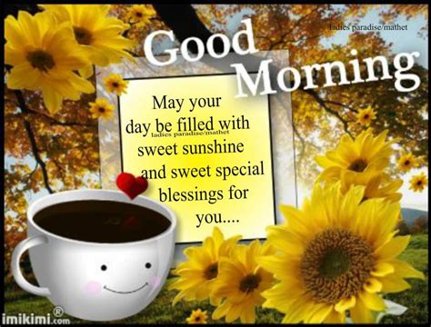 Sweet Sunshine Good Morning Quote Pictures Photos And Images For