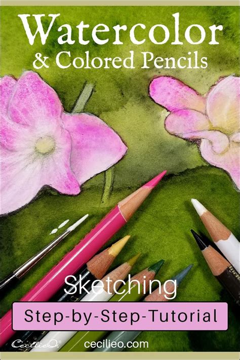 Watercolor Tutorials Archives Cecilie Okada Design Watercolor Pencils