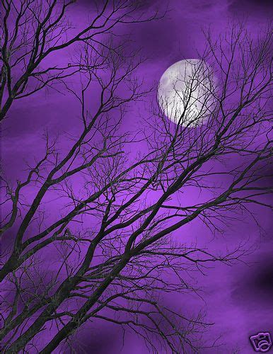 Purple Vibe Purple Sky Shades Of Purple Deep Purple Purple Color