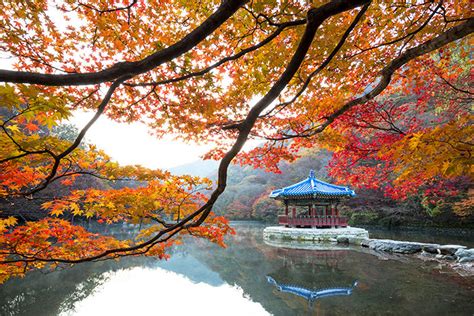 Luoghi Migliori Dove Godersi Lautunno In Corea Viaggio In Corea