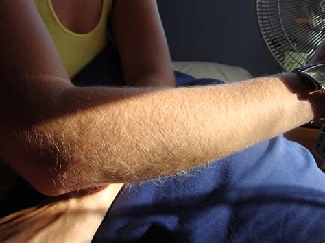 blonde hairy arms jdevious1 flickr
