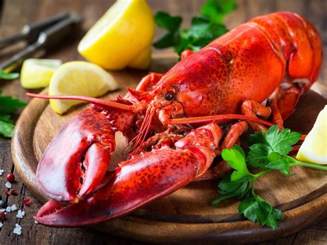 8 Tips Regarding Lobsters That You Must Know About