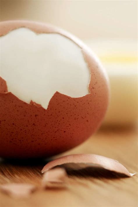 If you're on the lookout for foods that can help lower your risk. The egg diet plan: Is it effective?